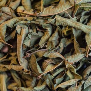 Tisane Verveine