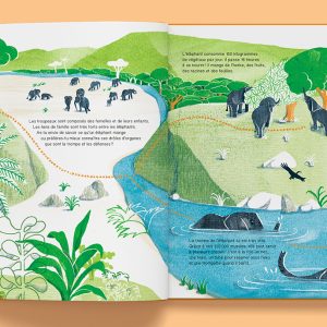 SUIS DU DOIGT L'ELEPHANT – Image 4