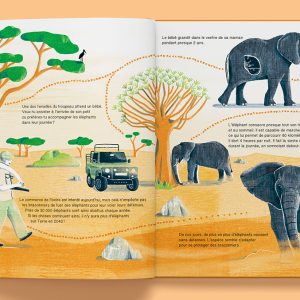 SUIS DU DOIGT L'ELEPHANT – Image 5