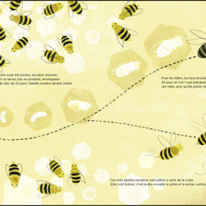 SUIS DU DOIGT L'ABEILLE – Image 7
