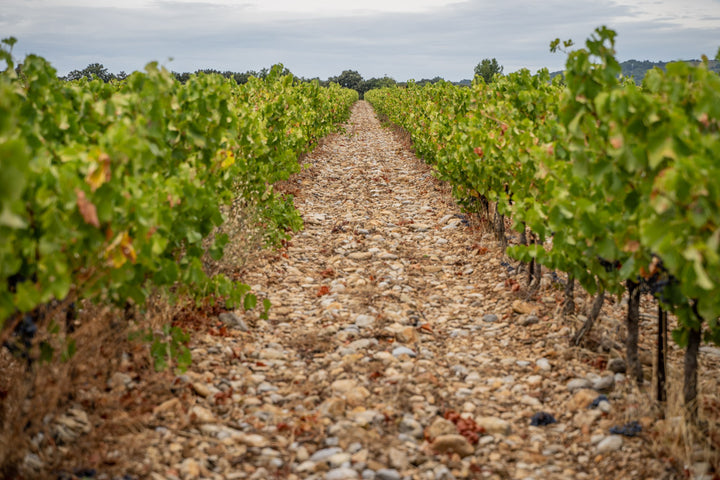 AOC COTES-DU-RHONE ROUGE AB 75CL - VIN OE – Image 4