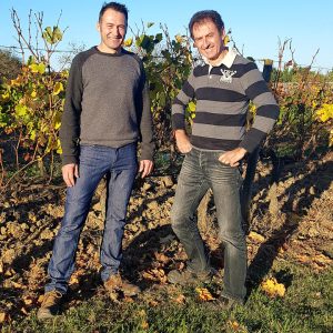 AOC BORDEAUX BLANC SEC AB 75CL - VIN OE – Image 3