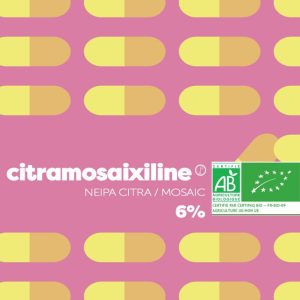 CITRAMOSAIXILINE BIO 33CL - BRASSERIE LE PERE L'AMER – Image 2