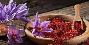 GELEE DE VIN AU SAFRAN BIO DE CORREZE 40G - LE SAFRAN DE ROSE