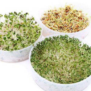 GRAINES A GERMER RADIS ROSES BIO 200G - DE BARDO – Image 6