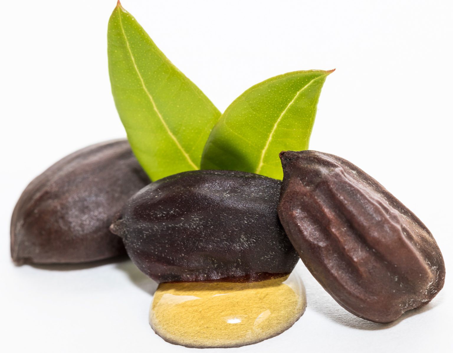 HUILE DE JOJOBA BIOLOGIQUE EN VRAC - LES TRADITIONS DE MALO