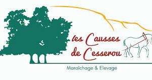 BACON TRANCHE BIOLOGIQUE (environ 100g)- LES CAUSSE DE CESSEROU – Image 8