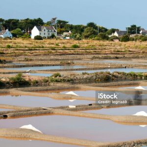 FLEUR DE SEL DE GUERANDE IGP – Image 3