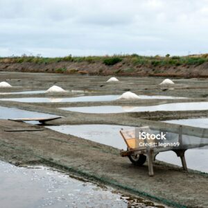 FLEUR DE SEL DE GUERANDE IGP – Image 4