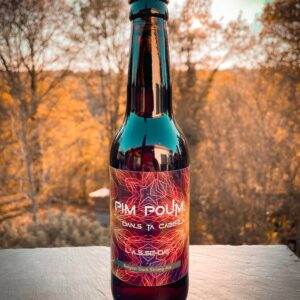 PIM ! POUM ! DANS TA CABEZA ! 33CL - MICROBRASSERIE ARTISANALE L'ASSEDAT