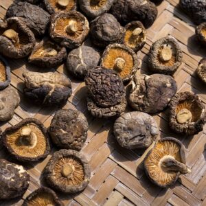 SHIITAKES SECHES BIO 30G - SUPERSEC – Image 4