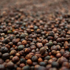 POIVRE DE KAMPOT NOIR IGP BIO - SOULSPICE – Image 2