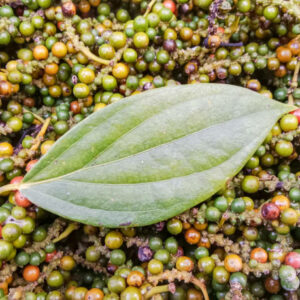 POIVRE DE KAMPOT ROUGE IGP BIO - SOULSPICE – Image 6