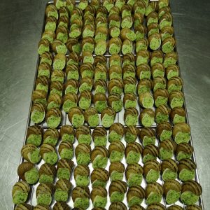 ESCARGOTS COQUILLES A LA BOURGUIGNONNE BIO (DOUZAINE) - MELI-MELO D'ESCARGOTS