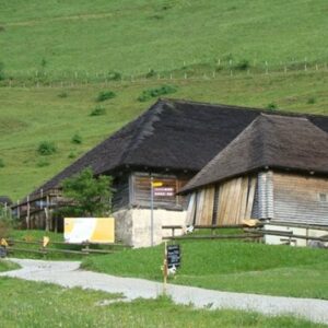 FONDUE SUISSE MOITIE MOITIE 400G (2 personnes) - FROMAGERIE MOLESON – Image 2