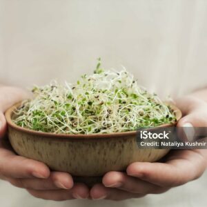 GRAINES A GERMER POIREAU AB 100G - DE BARDO – Image 4