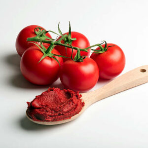CONCENTRE DE TOMATES 22% BIO 190G - NATUR'AVENIR – Image 2