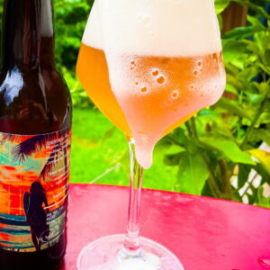 SURFING AT WAI-ITI 33CL - MICROBRASSERIE L'ASSEDAT – Image 2