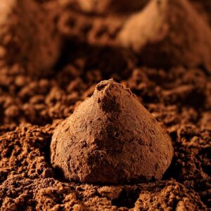 TRUFFES CACAO & TRUFFES PRALINE NOISETTES BIO - SAVEURS & NATURE