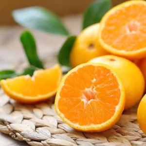 PREPARATION GOURMANDE MANDARINE NOUGAT 250g - FAVOLS LES PATISSIERES – Image 2