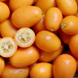 PUREE DE KUMQUAT BIO 85g - LE VOYAGE DE MAMABE – Image 3