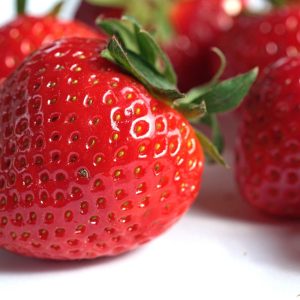 FRAISE SANS SUCRES AJOUTES BIO 210g - LE TEMPS DES FRUITS – Image 2