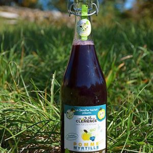 PETILLANT POMME MYRTILLES AB DEMETER 75CL - FAMILLE TEULET