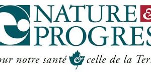 SAVON EXFOLIANT BIO 100G - LA FABRIQUE D'ELAIA – Image 2