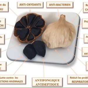 AIL NOIR EPLUCHE 20G HVE NIVEAU 3 - LA PETITE PERLE NOIRE – Image 2
