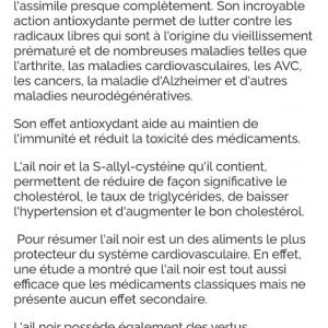 AIL NOIR EPLUCHE 20G HVE NIVEAU 3 - LA PETITE PERLE NOIRE – Image 3