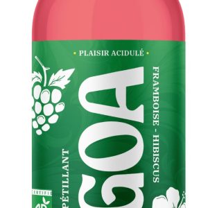 KOMBUCHA FRAMBOISE HIBISCUS BIO 1L - BRASSERIE DE GOA