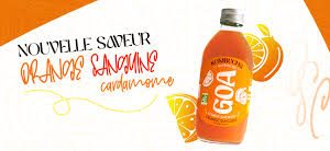 KOMBUCHA ORANGE SANGUINE CARDAMOME BIO 1L - BRASSERIE DE GOA – Image 2