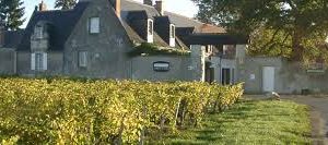 AOP MUSCADET PRIMEUR BIO 2024 75CL "POUR LES COPAINS" - DOMAINE DE L'EPINAY – Image 2