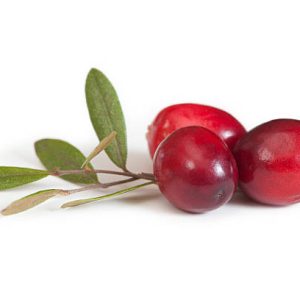 JUS DE CRANBERRY BIO 1L S/SUCRES AJOUTES - PROSAIN – Image 3