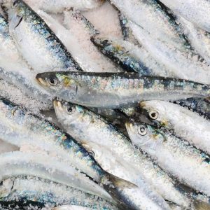 SARDINES A LA SAUCE TOMATE BIO 120g - FISH4EVER – Image 2