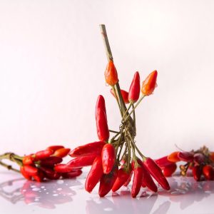 SAUCE SRIRACHA BIO AU PIMENT DE PROVENCE 270g - OMIE – Image 2