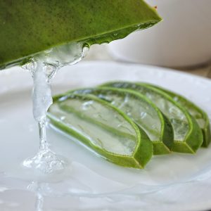 SHAMPOING DOUCHE ALOE VERA BIO & VEGAN - COSLYS – Image 2