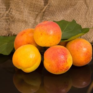 COMPOTE ABRICOTS BIO 365g - LES COTEAUX NANTAIS – Image 4