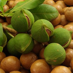 NOIX DE MACADAMIA AB & COMMERCE EQUITABLE - BASE ORGANIC FOOD – Image 3