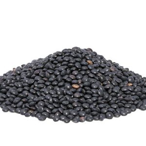 LENTILLES BELUGA NOIRES BIO Origine PICARDIE - ELORA
