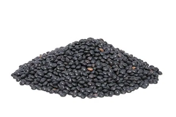 LENTILLES BELUGA NOIRES BIO Origine PICARDIE - ELORA
