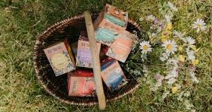 TISANE PÊCHE A CROQUER BIO & COMMERCE EQUITABLE X 20 INFUSETTES - BIOHÊME – Image 2