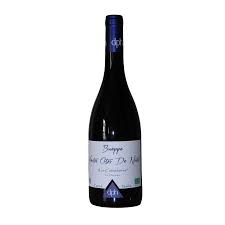 AOP BOURGOGNE HAUTES CÔTES DE NUITS 2022 LES COLOMBIERES BIO 75CL - DOMAINE PATR