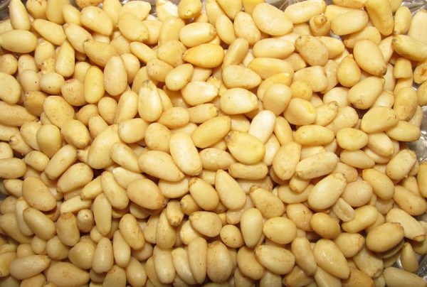 PIGNONS DE PIN BIO