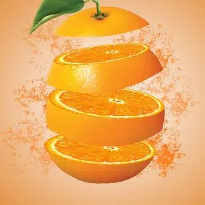 ORANGE SPRITZ 13% - TESSENDIER & FILS – Image 2