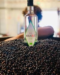 GIN LONDON DRY BIOLOGIQUE origine CHARENTE – Image 2