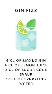 GIN LONDON DRY BIOLOGIQUE origine CHARENTE – Image 3