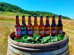 BIERE SPIRULINE AB SANS GLUTEN 33CL - BRASSERIE LA LUTINE – Image 2