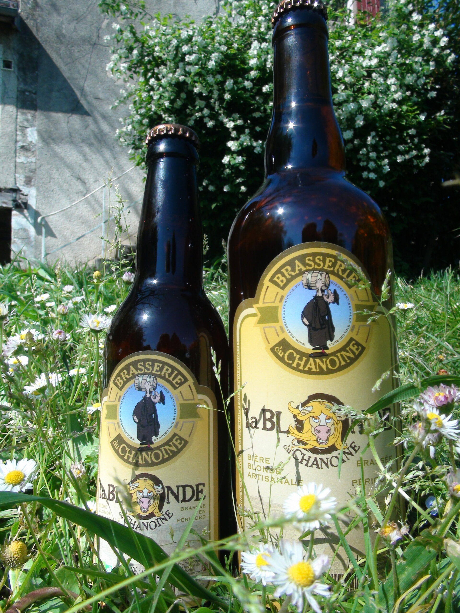 LA BLONDE BIO 33CL - BRASSERIE DU CHANOINE