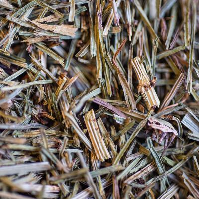PRELE BIO PARTIE AERIENNE - LE COMPTOIR DE L'HERBORISTERIE